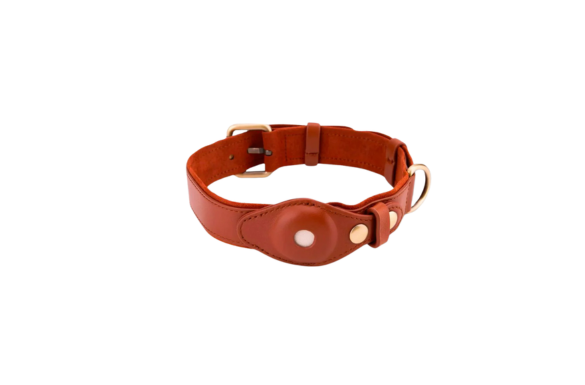 Top Day Collars for Everyday Submission